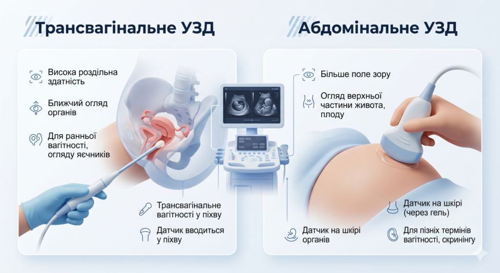 УЗД на ранніх термінах вагітності. Для чого вона потрібна? 2