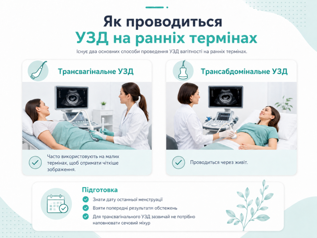 Трансвагінальне та трансабдомінальне УЗД на ранніх термінах вагітності і підготовка до обстеження